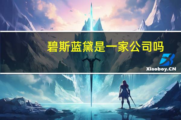 碧斯蓝黛是一家公司吗