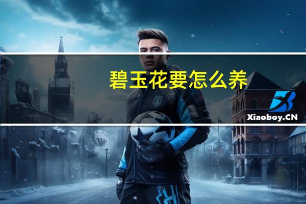 碧玉花要怎么养