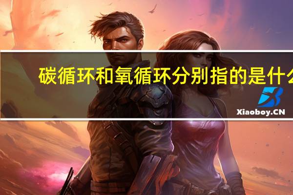 碳循环和氧循环分别指的是什么