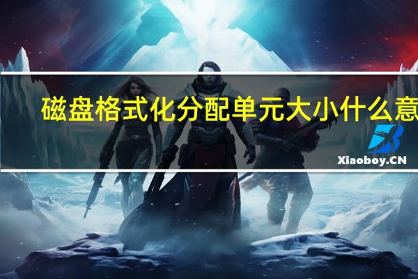 磁盘格式化分配单元大小什么意思（格式化分配单元大小什么意思）