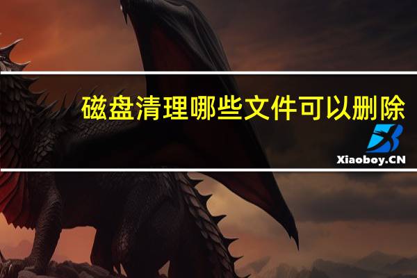 磁盘清理哪些文件可以删除（磁盘清理）