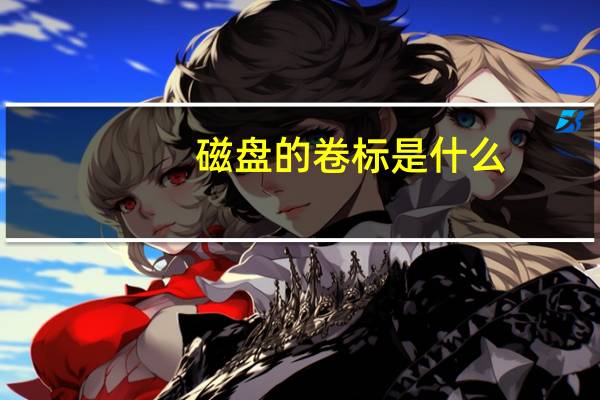 磁盘的卷标是什么（卷标是什么）