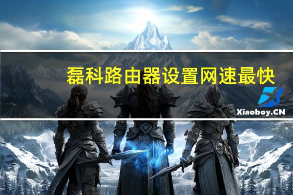 磊科路由器设置网速最快（磊科路由器设置）