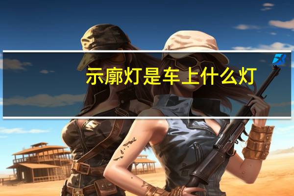 示廓灯是车上什么灯