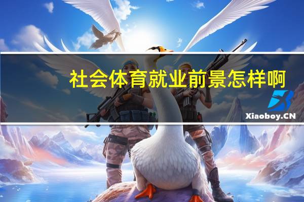 社会体育就业前景怎样啊