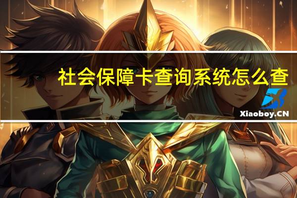 社会保障卡查询系统怎么查(社会保障卡查询系统)