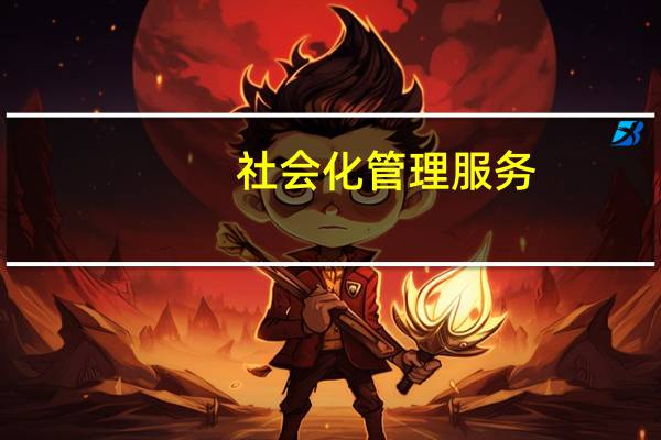 社会化管理服务（社会化管理）
