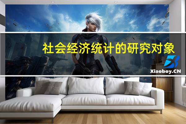 社会经济统计的研究对象（社会经济因素）