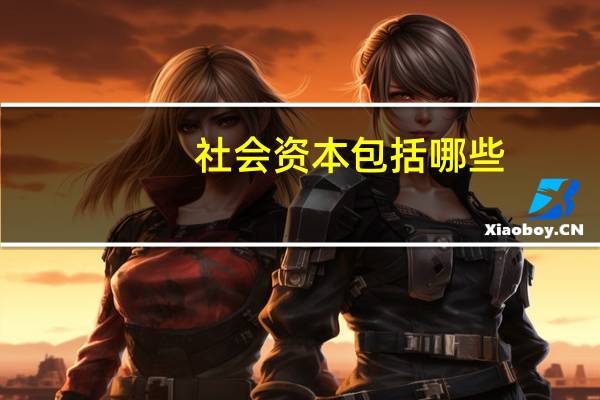 社会资本包括哪些（社会资本）