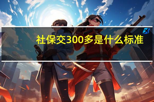 社保交300多是什么标准