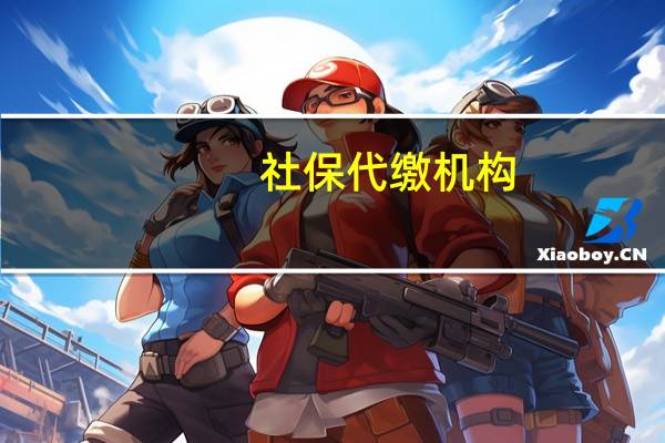 社保代缴机构（关于社保代缴机构的介绍）