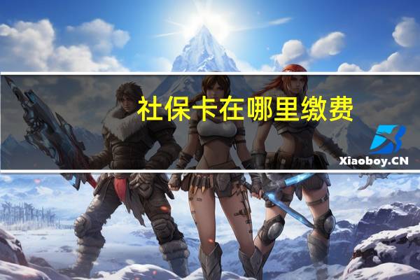 社保卡在哪里缴费