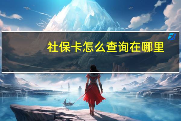 社保卡怎么查询在哪里？
