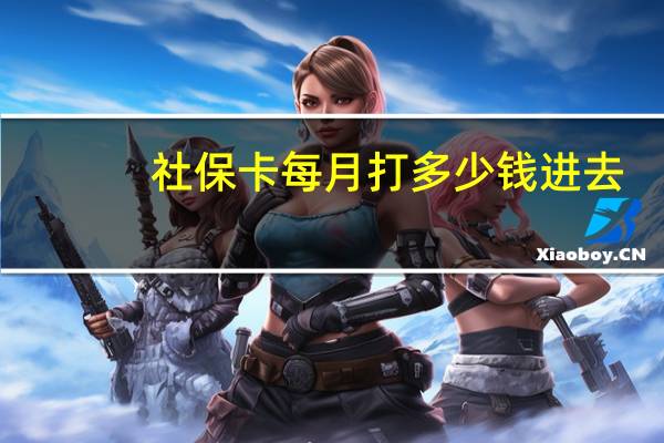社保卡每月打多少钱进去
