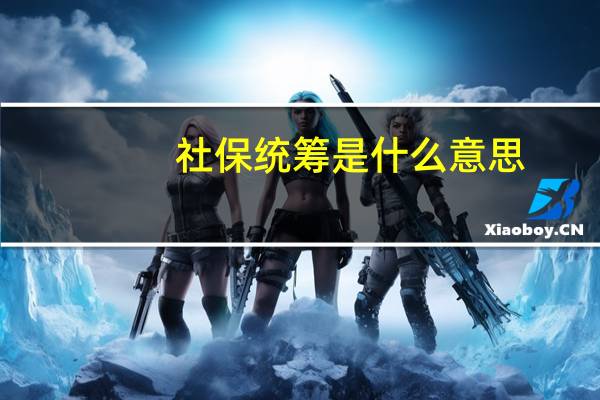 社保统筹是什么意思（统筹是什么意思）