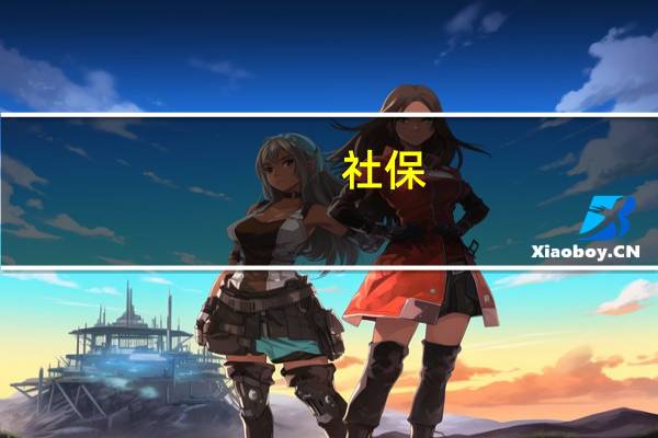 社保(关于社保的介绍)