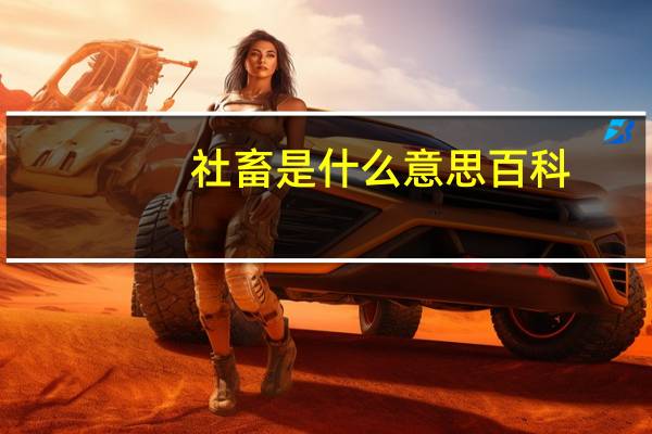 社畜是什么意思百科（社畜是什么意思）