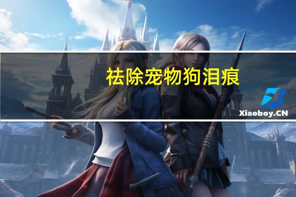 祛除宠物狗泪痕