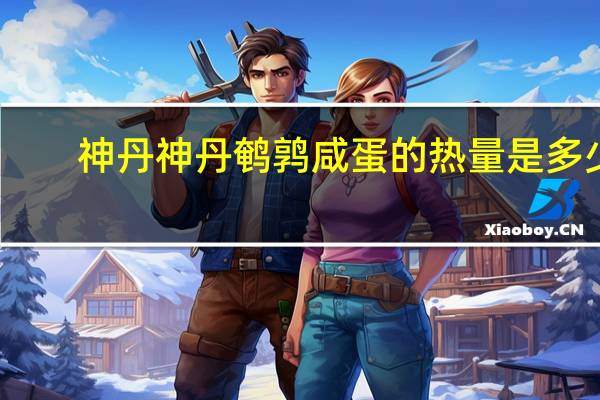 神丹  神丹鹌鹑咸蛋的热量是多少