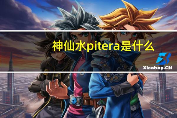 神仙水pitera是什么（pitera是什么）