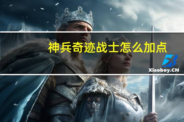 神兵奇迹战士怎么加点（奇迹战士加点）