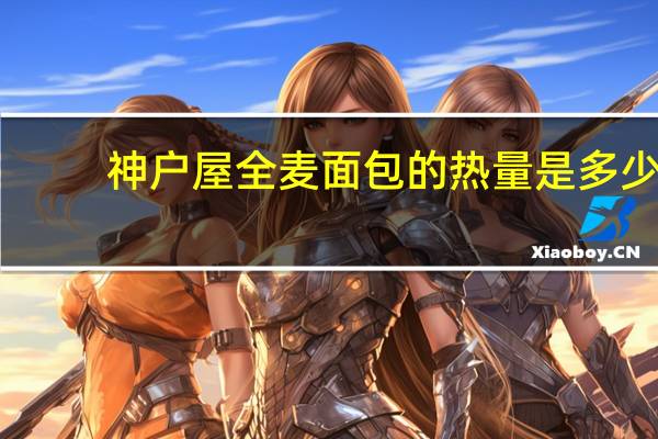 神户屋 全麦面包的热量是多少