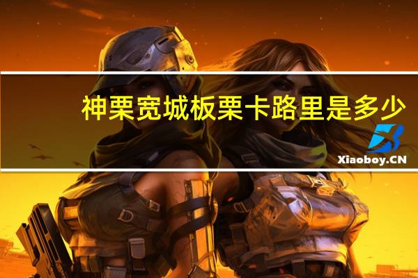 神栗 宽城板栗卡路里是多少