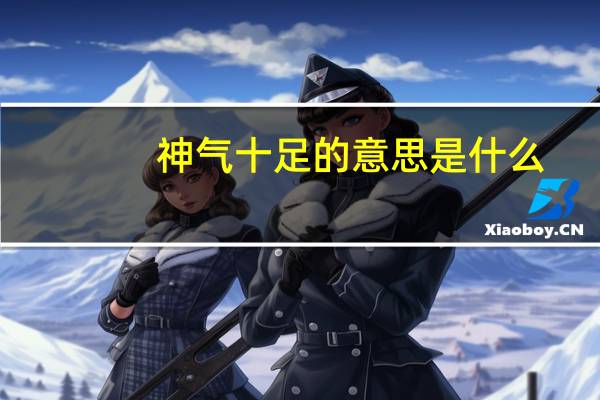 神气十足的意思是什么（神气十足的意思）
