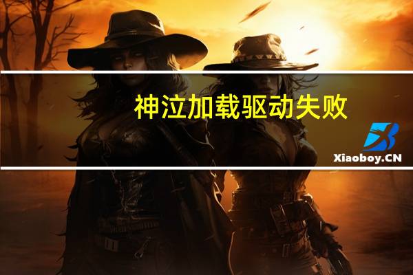 神泣加载驱动失败（黎明杀机PCHunter64加载驱动失败怎么办）