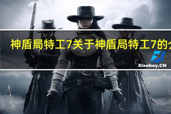 神盾局特工7 关于神盾局特工7的介绍