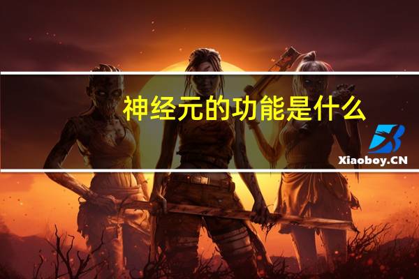 神经元的功能是什么