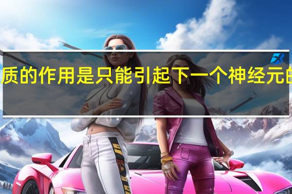 神经递质的作用是只能引起下一个神经元的兴奋或抑制