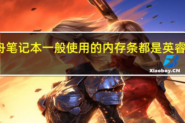 神舟笔记本一般使用的内存条都是英睿达内存条