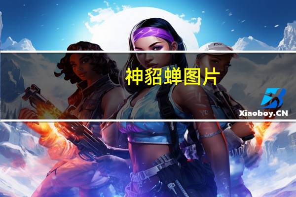 神貂蝉图片（神貂蝉）