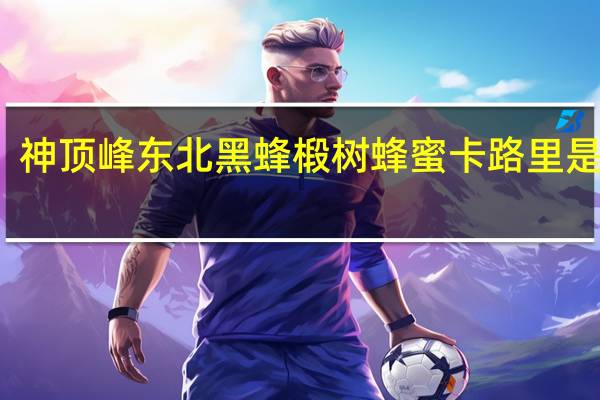 神顶峰 东北黑蜂椴树蜂蜜卡路里是多少