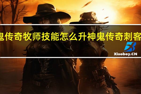 神鬼传奇牧师技能怎么升 神鬼传奇刺客怎么加点