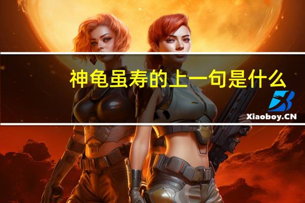 神龟虽寿的上一句是什么