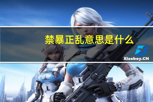 禁暴正乱意思是什么
