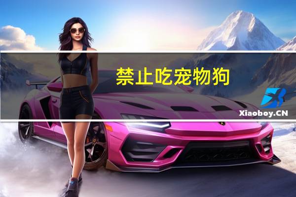 禁止吃宠物狗
