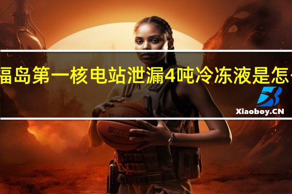 福岛第一核电站泄漏4吨冷冻液是怎么回事