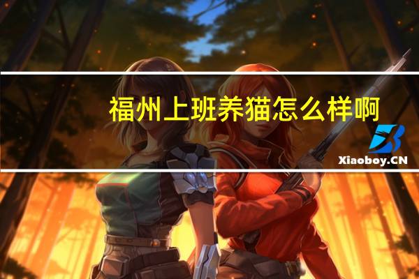 福州上班养猫怎么样啊
