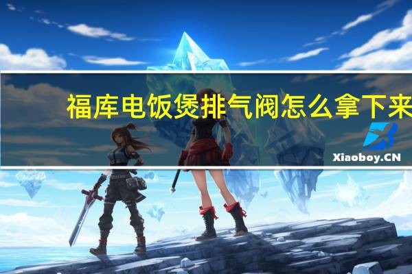 福库电饭煲排气阀怎么拿下来
