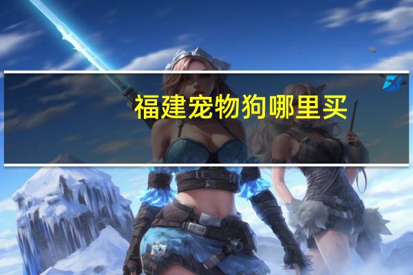 福建宠物狗哪里买