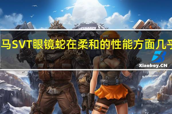 福特野马SVT眼镜蛇在柔和的性能方面几乎是经典之作