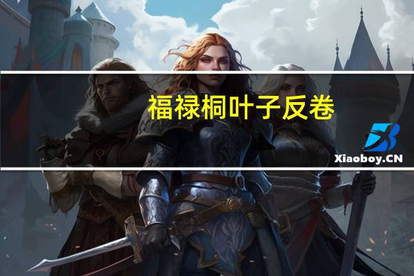 福禄桐叶子反卷