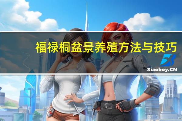 福禄桐盆景养殖方法与技巧