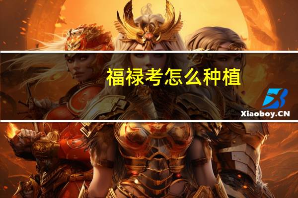 福禄考怎么种植
