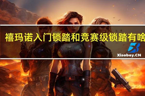 禧玛诺入门锁踏和竞赛级锁踏有啥区别