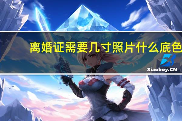 离婚证需要几寸照片什么底色