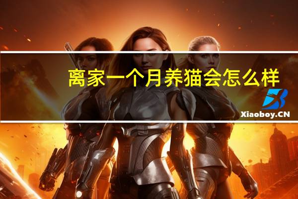 离家一个月养猫会怎么样